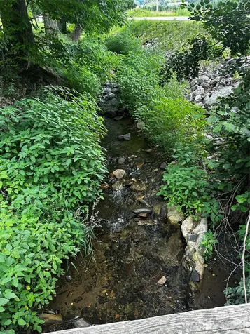 0 Green Creek Road Bakersville NC 28705