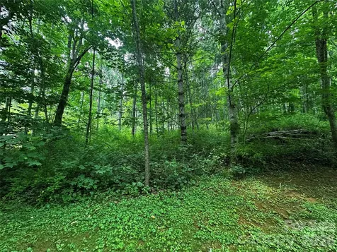 0 Green Creek Road Bakersville NC 28705