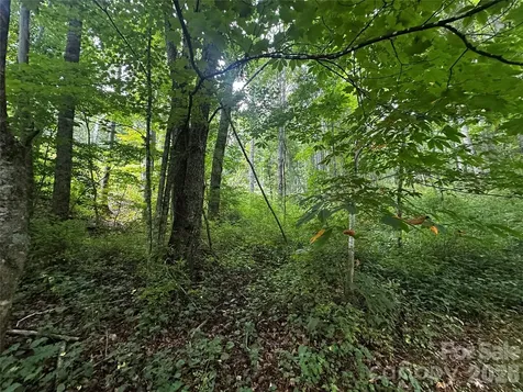 0 Green Creek Road Bakersville NC 28705