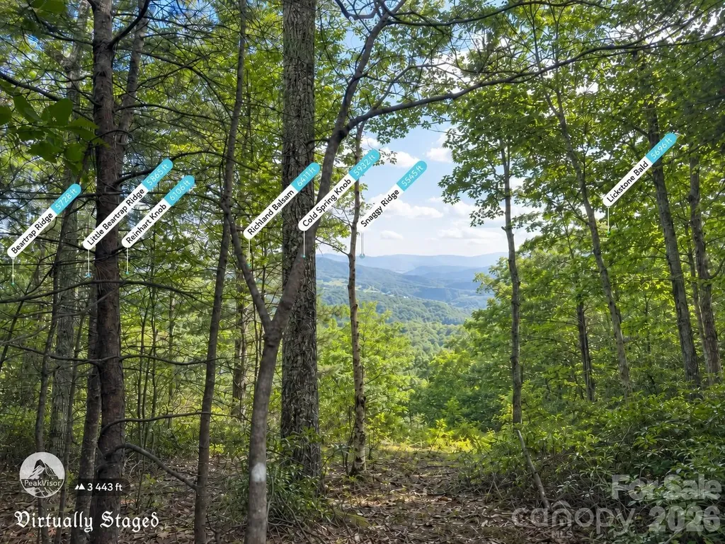 225 Lucerne Drive Canton NC 28716