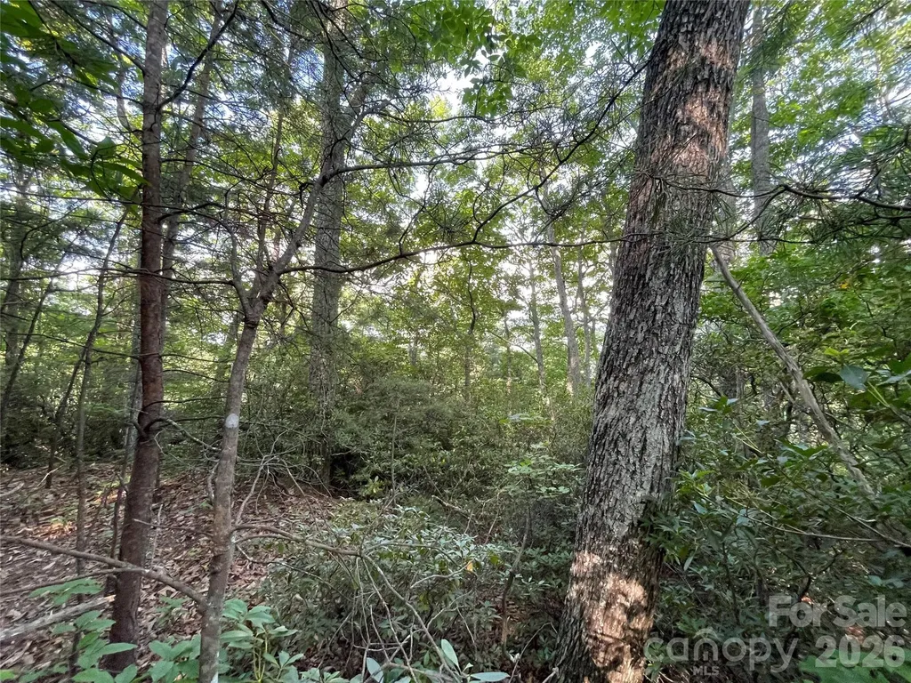 225 Lucerne Drive Canton NC 28716