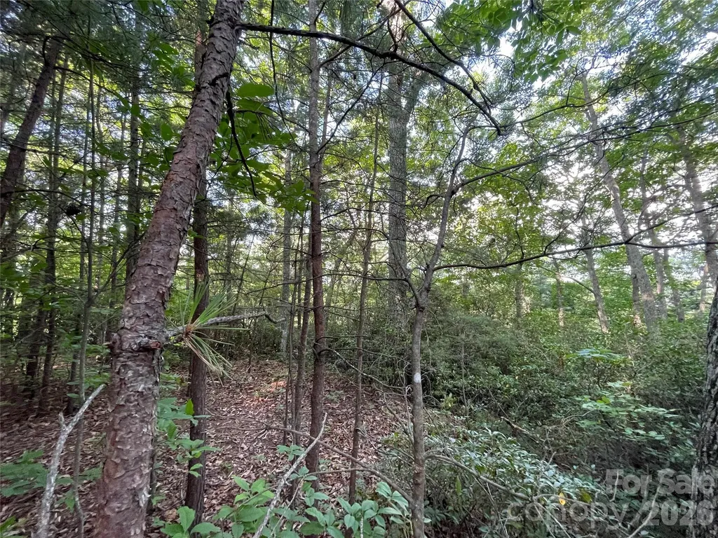 225 Lucerne Drive Canton NC 28716