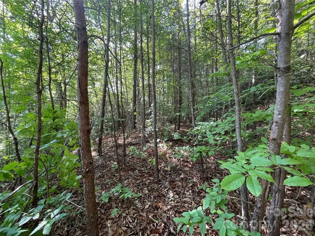 225 Lucerne Drive Canton NC 28716