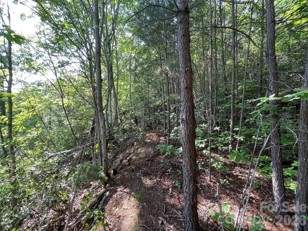 225 Lucerne Drive Canton NC 28716