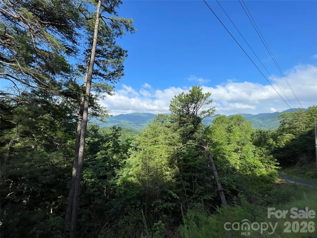 225 Lucerne Drive Canton NC 28716
