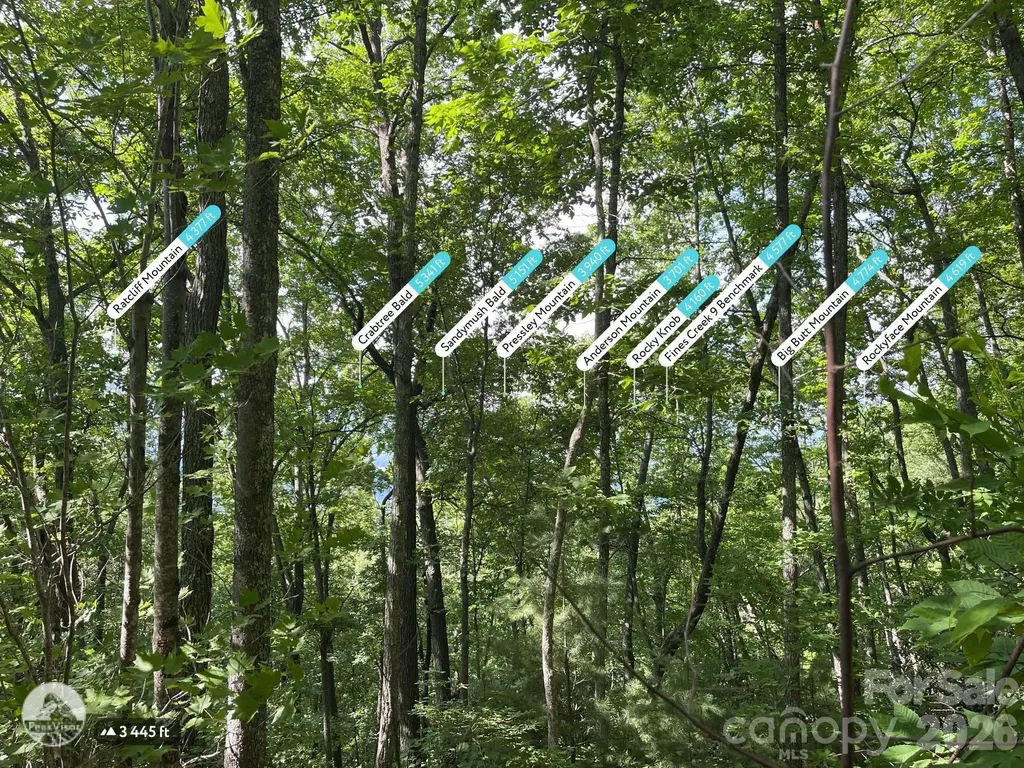 225 Lucerne Drive Canton NC 28716
