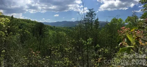 225 Lucerne Drive Canton NC 28716