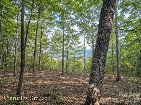 225 Lucerne Drive Canton NC 28716