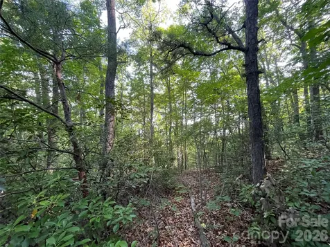 225 Lucerne Drive Canton NC 28716