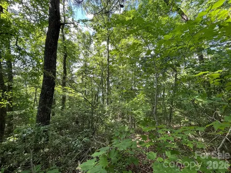 225 Lucerne Drive Canton NC 28716