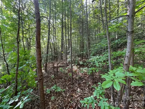 225 Lucerne Drive Canton NC 28716