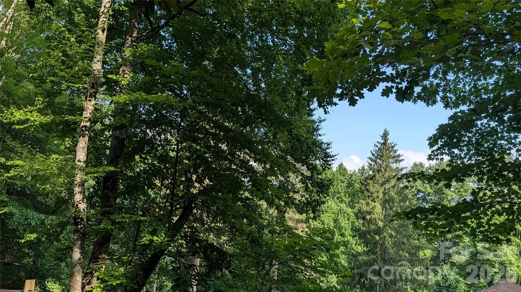 00 Chestnut Walk Waynesville NC 28786