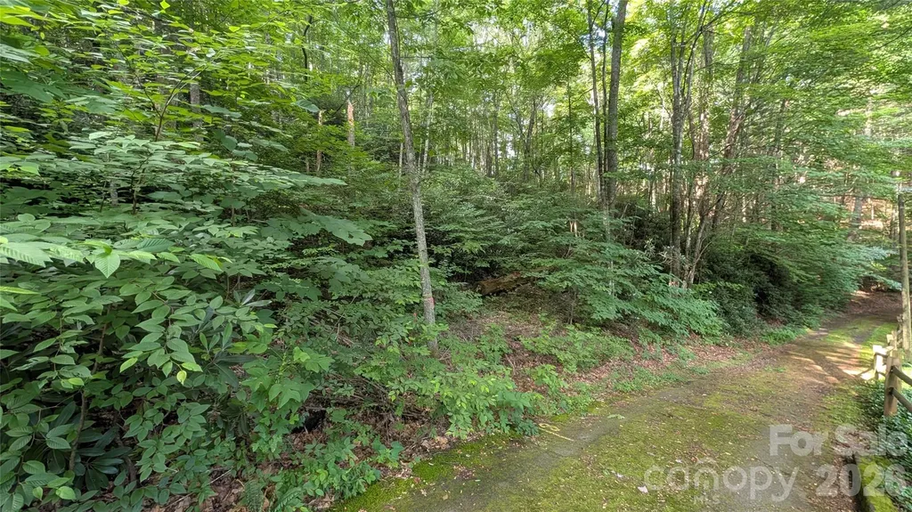 00 Chestnut Walk Waynesville NC 28786
