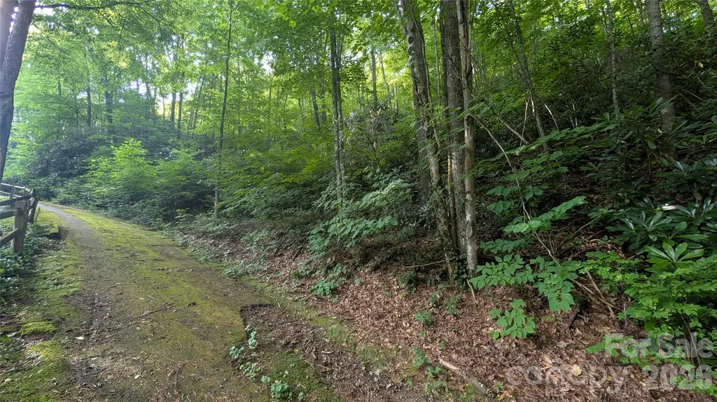 00 Chestnut Walk Waynesville NC 28786
