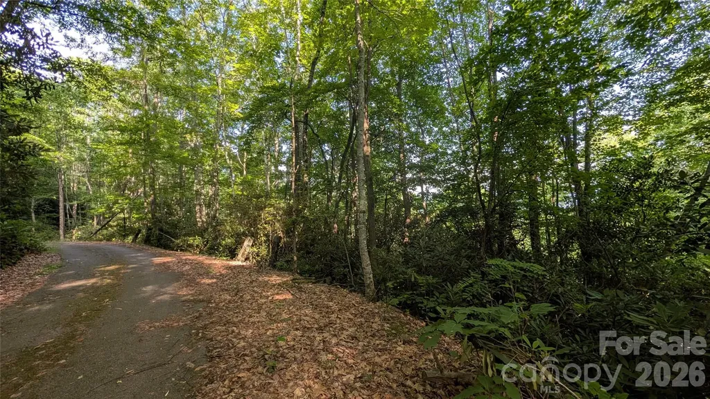 00 Chestnut Walk Waynesville NC 28786