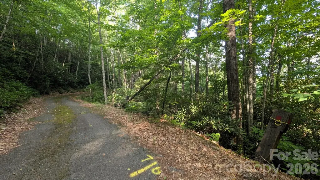 00 Chestnut Walk Waynesville NC 28786