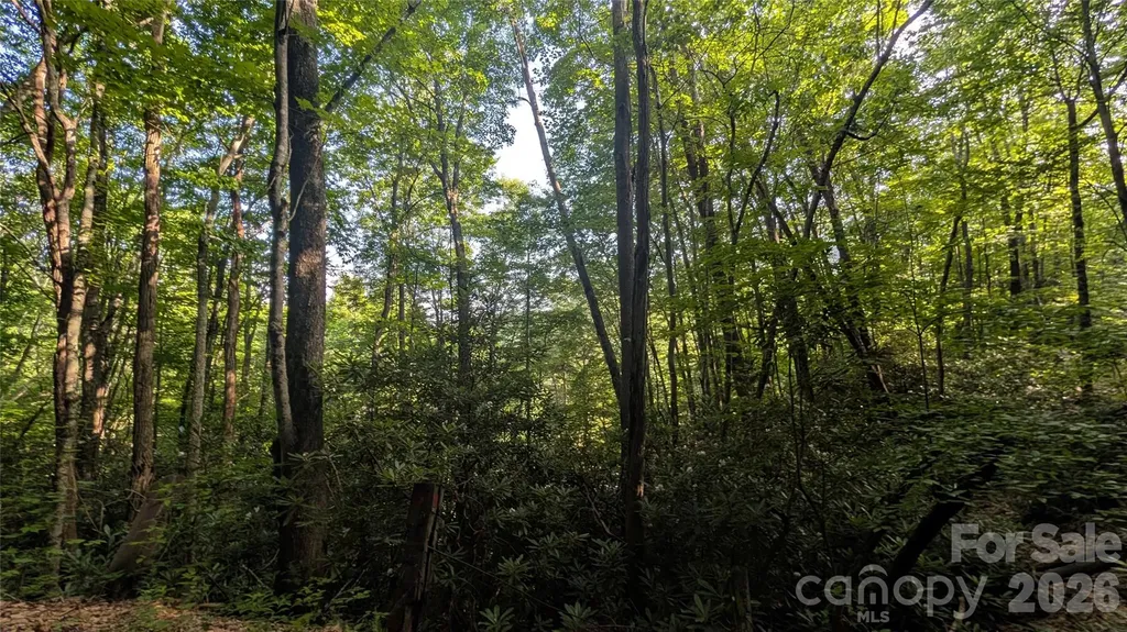 00 Chestnut Walk Waynesville NC 28786