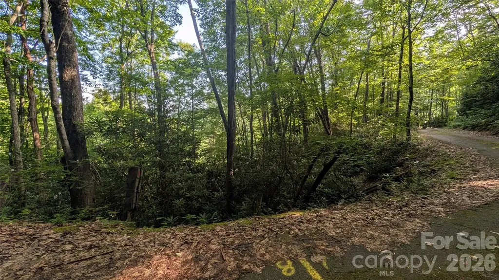 00 Chestnut Walk Waynesville NC 28786