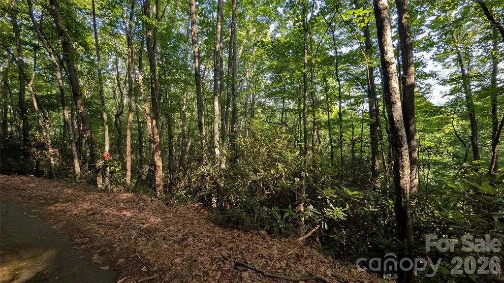 00 Chestnut Walk Waynesville NC 28786
