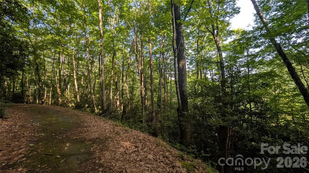 00 Chestnut Walk Waynesville NC 28786