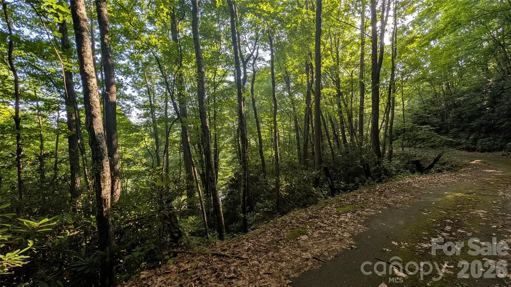 00 Chestnut Walk Waynesville NC 28786