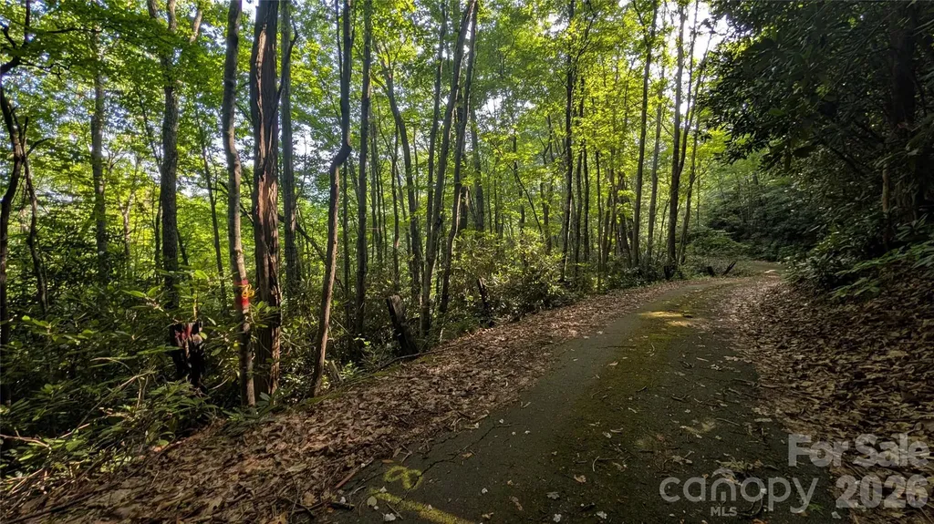 00 Chestnut Walk Waynesville NC 28786