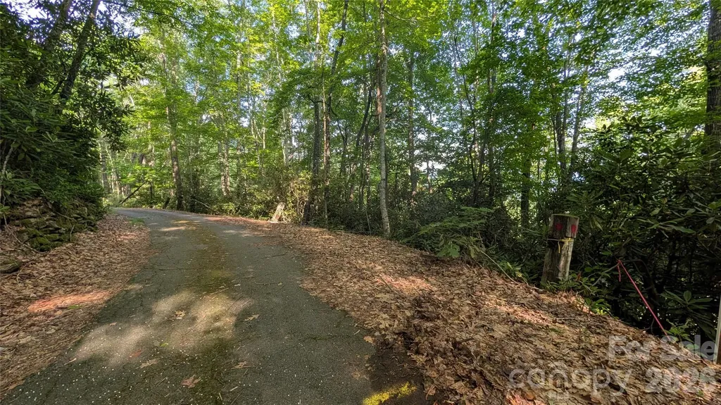 00 Chestnut Walk Waynesville NC 28786