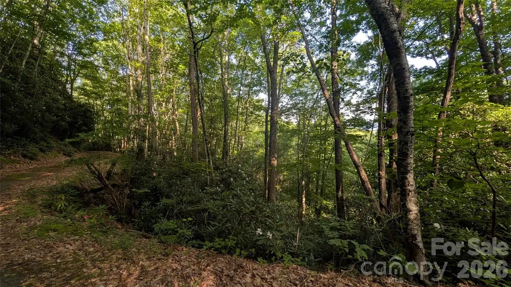 00 Chestnut Walk Waynesville NC 28786