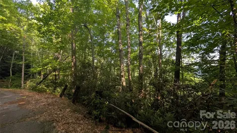 00 Chestnut Walk Waynesville NC 28786