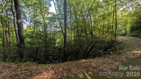 00 Chestnut Walk Waynesville NC 28786