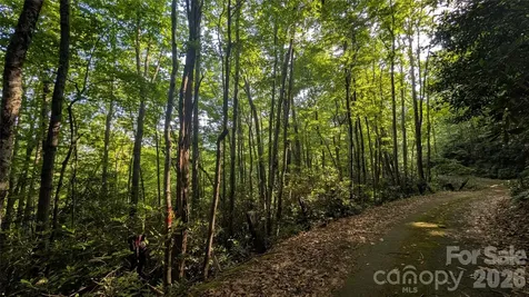 00 Chestnut Walk Waynesville NC 28786