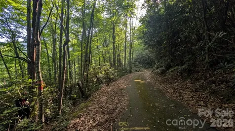 00 Chestnut Walk Waynesville NC 28786