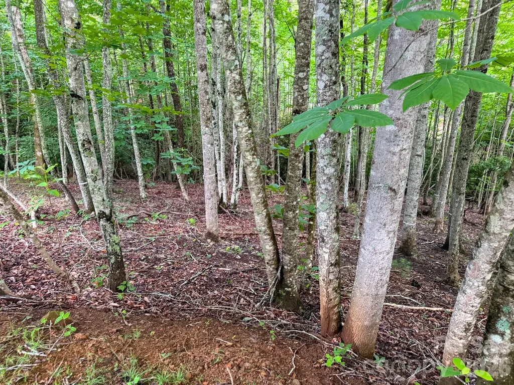 724 Streamside Drive Arden NC 28704
