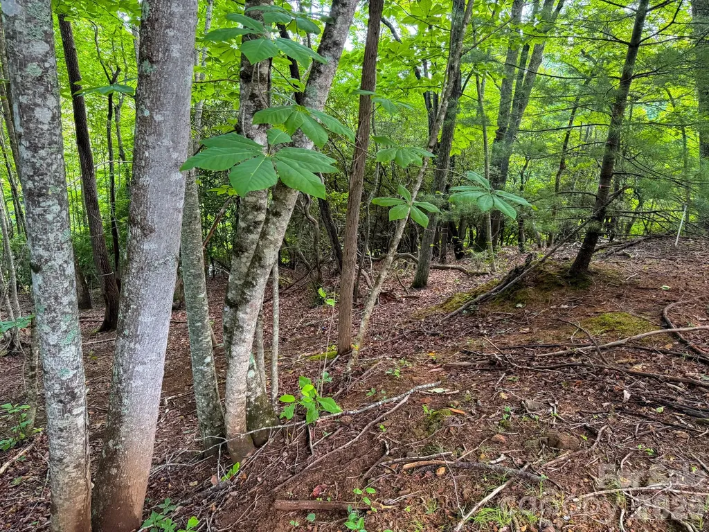 724 Streamside Drive Arden NC 28704