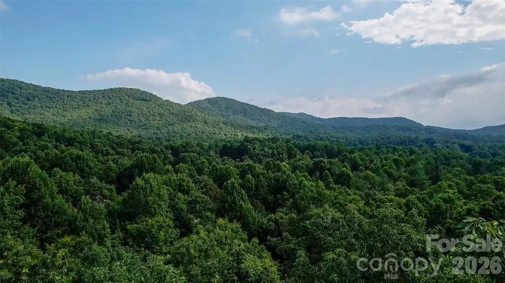 724 Streamside Drive Arden NC 28704