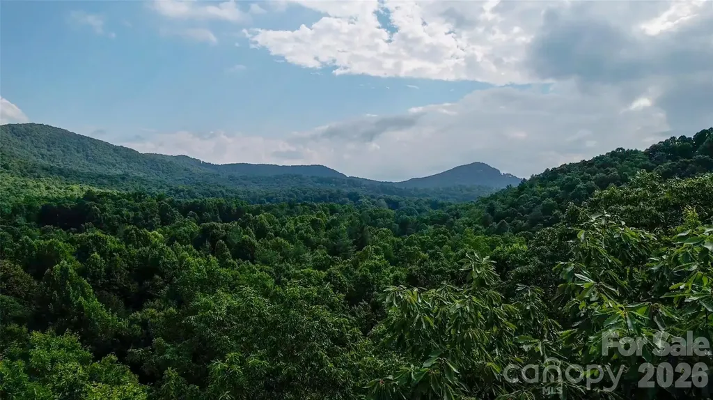 724 Streamside Drive Arden NC 28704