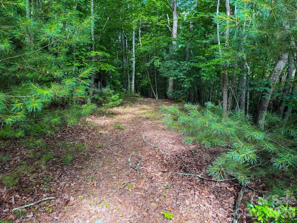 724 Streamside Drive Arden NC 28704