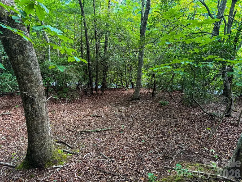724 Streamside Drive Arden NC 28704