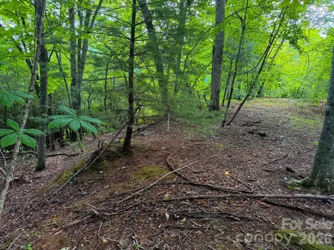 724 Streamside Drive Arden NC 28704
