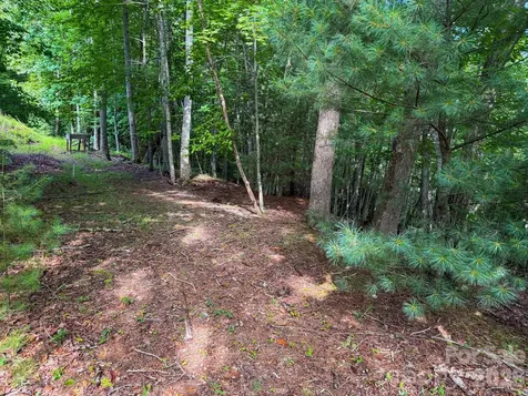724 Streamside Drive Arden NC 28704