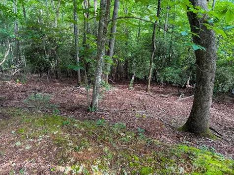 724 Streamside Drive Arden NC 28704
