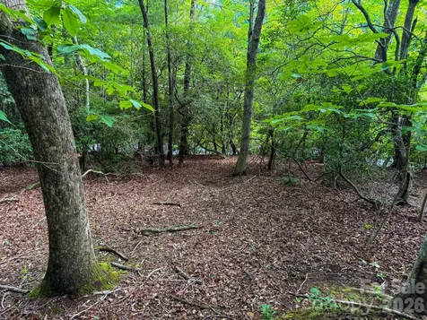 724 Streamside Drive Arden NC 28704