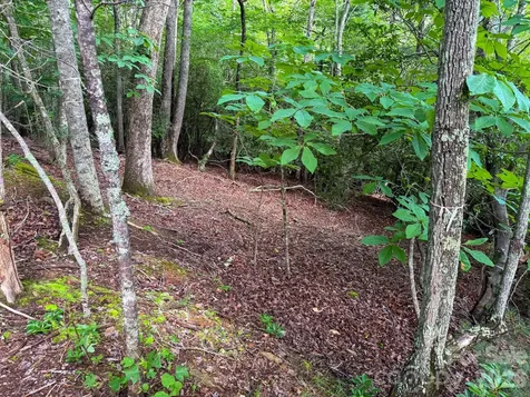 724 Streamside Drive Arden NC 28704