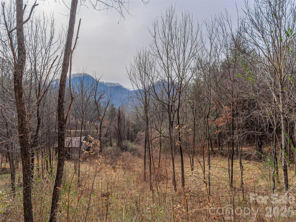 Lot 31 Hooper Cemetery Road Cullowhee NC 28723