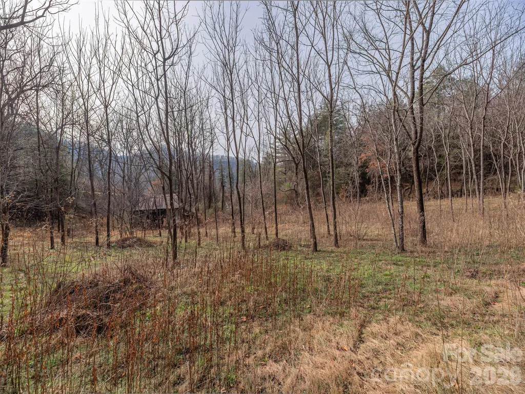 Lot 31 Hooper Cemetery Road Cullowhee NC 28723