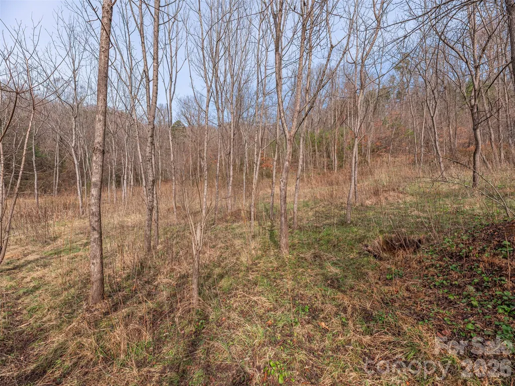 Lot 31 Hooper Cemetery Road Cullowhee NC 28723