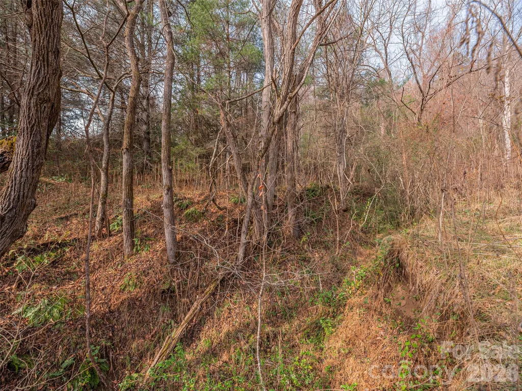 Lot 31 Hooper Cemetery Road Cullowhee NC 28723
