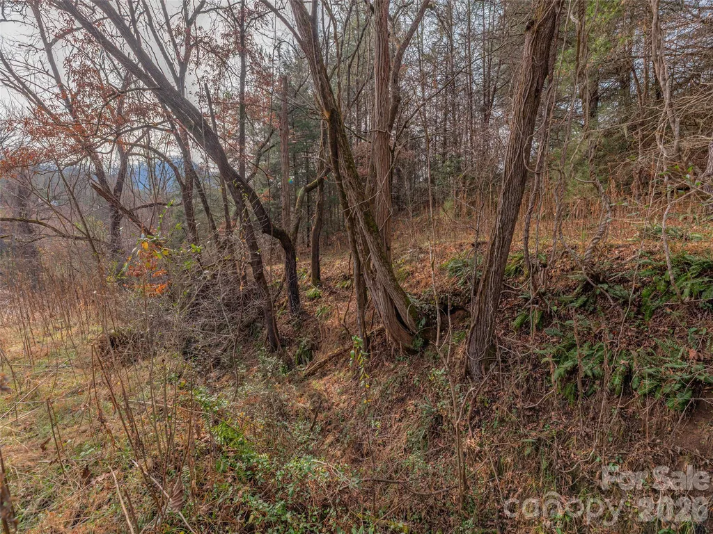 Lot 31 Hooper Cemetery Road Cullowhee NC 28723