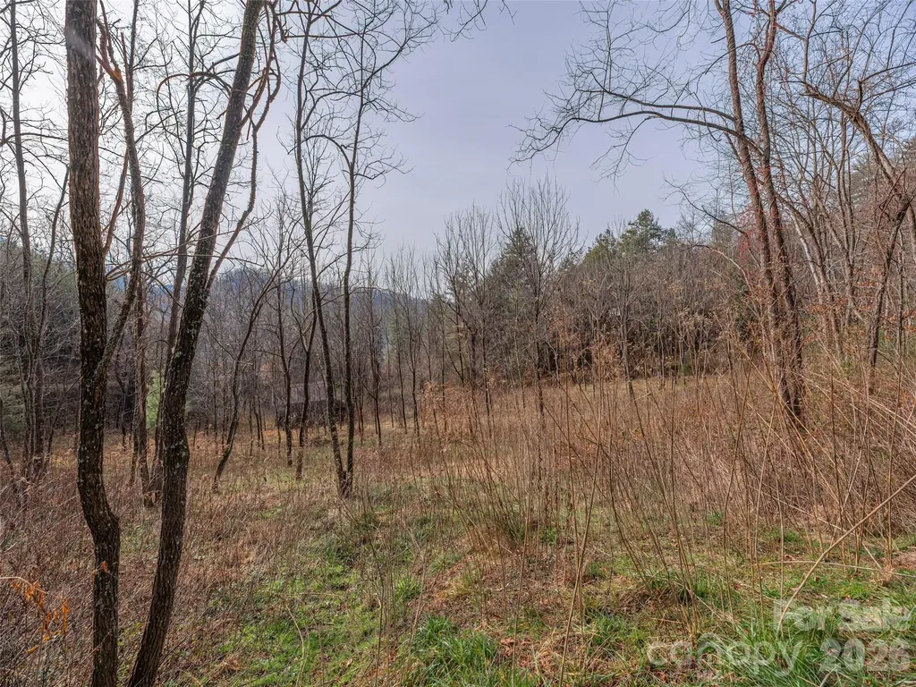 Lot 31 Hooper Cemetery Road Cullowhee NC 28723
