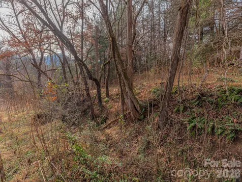 Lot 31 Hooper Cemetery Road Cullowhee NC 28723